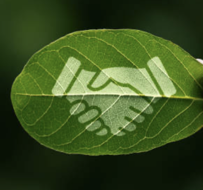 Partners & Alliances